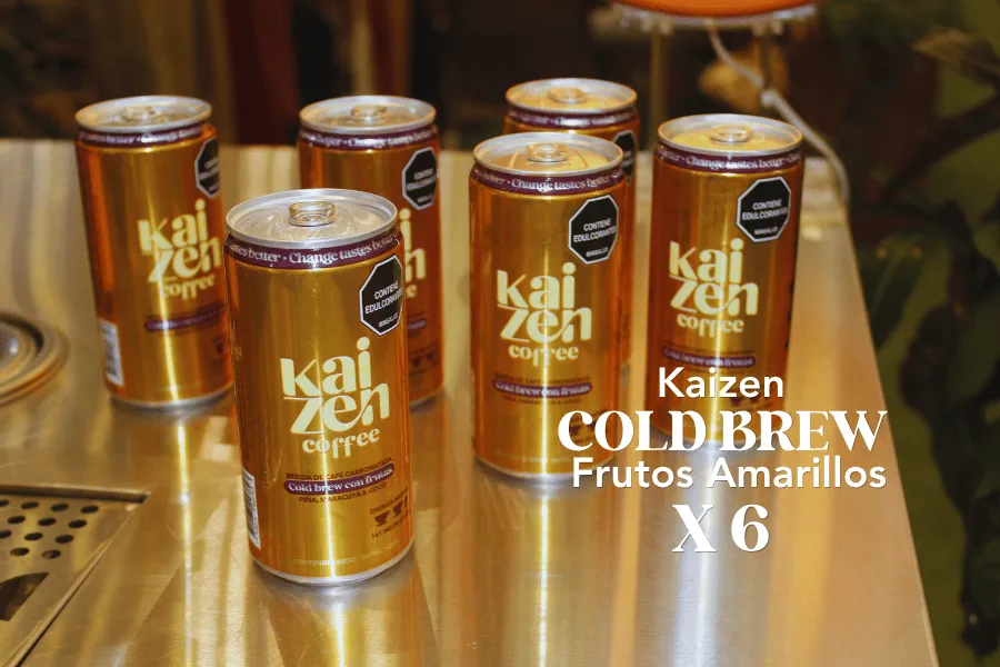 6 pack Cold brew Kaizen